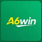 a6 win