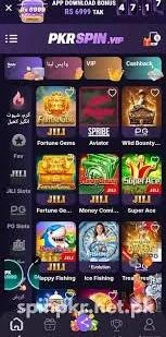 Pkr Spin