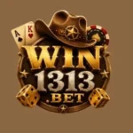 Win1313