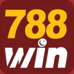 788 win