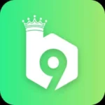 b9 game